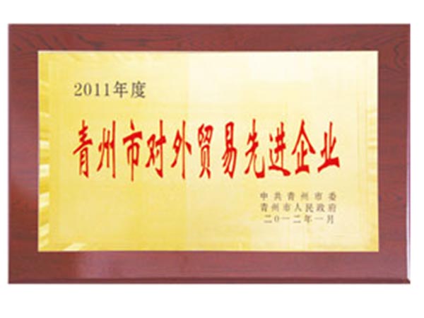 2011年度青州市對(duì)外貿(mào)易先進(jìn)企業(yè).jpg